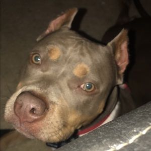 Meet your Posher, Chantel